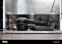 When was the last time you cleaned the back of your refrigerator?