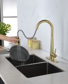 Kitchen Faucet with Pull Down Sprayer (Style: High Arc Single Handle Kitchen Sink Faucet with Deck Plate, Commercial Modern Stainless Steel Kitchen Faucets)