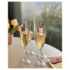 Tritan Lexington Plastic Champagne Flutes